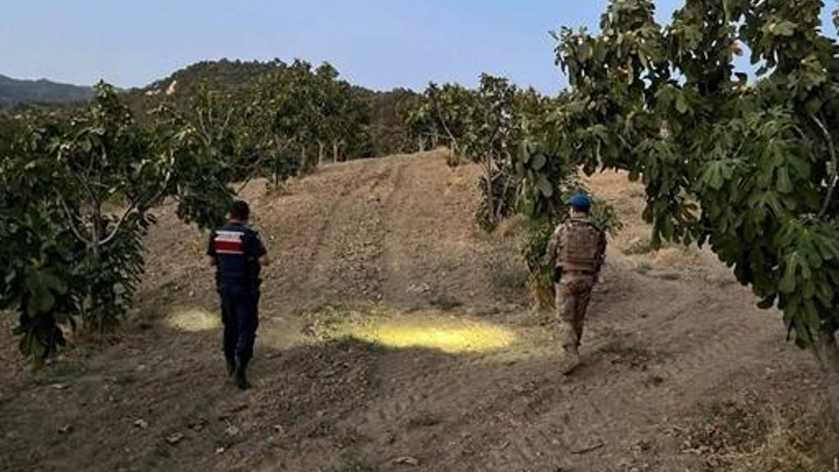 İncir bahçelerinde gece gündüz nöbet: Jandarma alarmda
