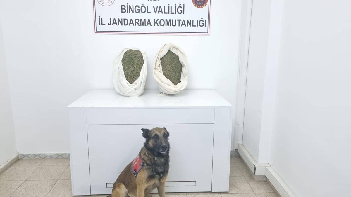 Bingöl'de araçta bulunan uyuşturucuya 1 tutuklama