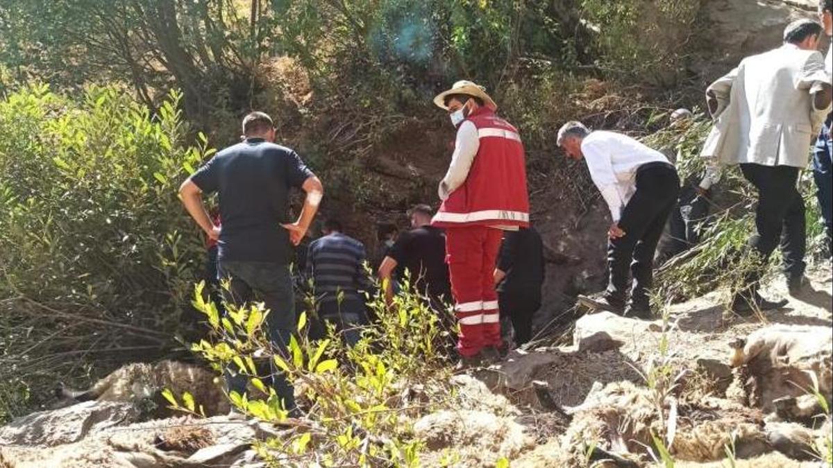 Van'da gece yarısı yaşandı! Çoban izledi: 1 koyunla başladı, 334 tanesi saniyeler içinde yok oldu