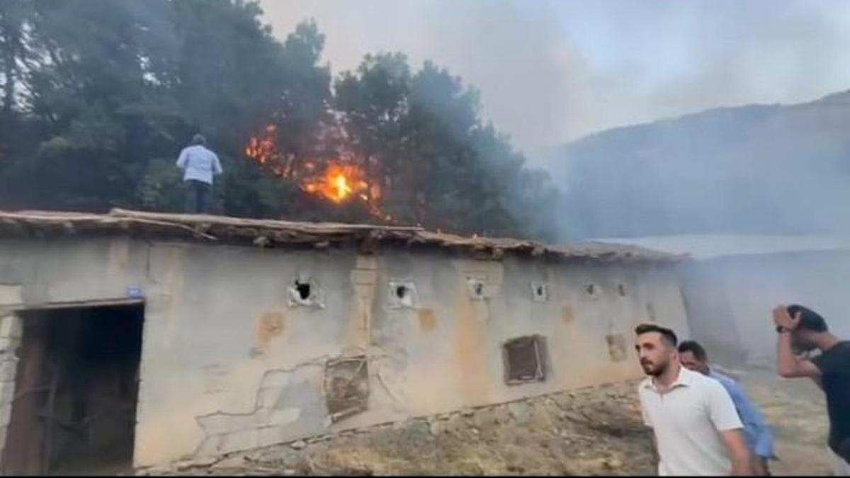 Hakkari'de çıkan orman yangını kontrol altına alındı