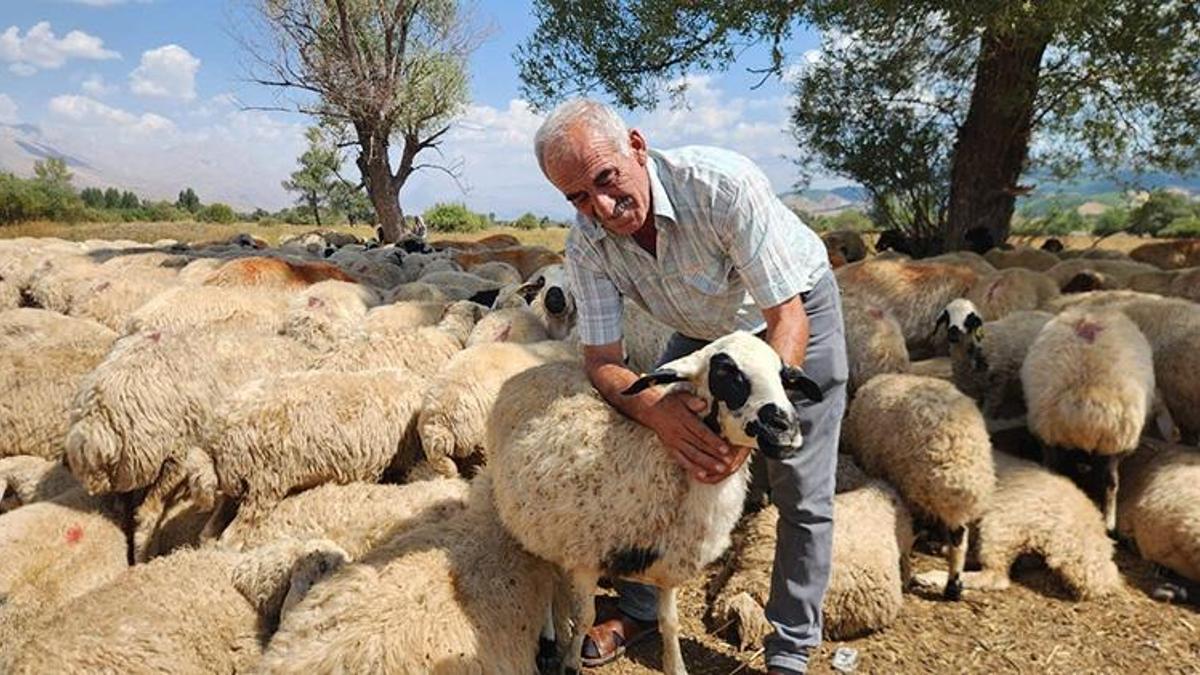 Maaşlarına yüzde 85 zam geldi! 130 bin TL aylık ücretle eleman bulamıyorlar