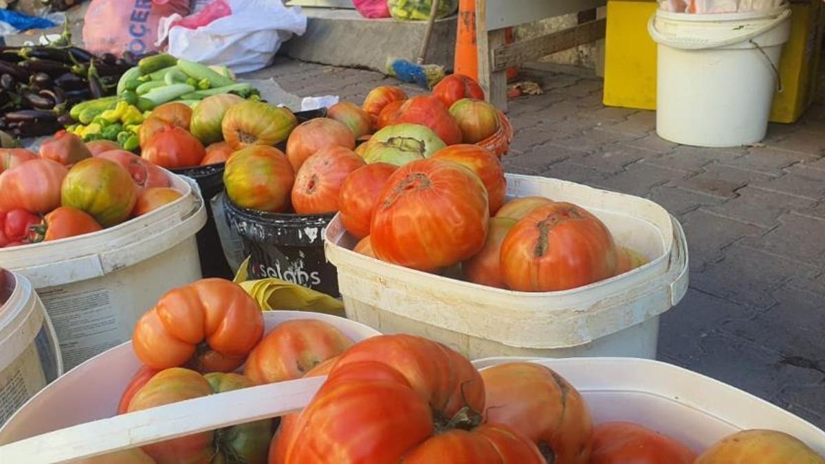Ata tohumundan yetişiyor, tanesi 1 kilo geliyor! Fiyatı 30 liradan satılıyor