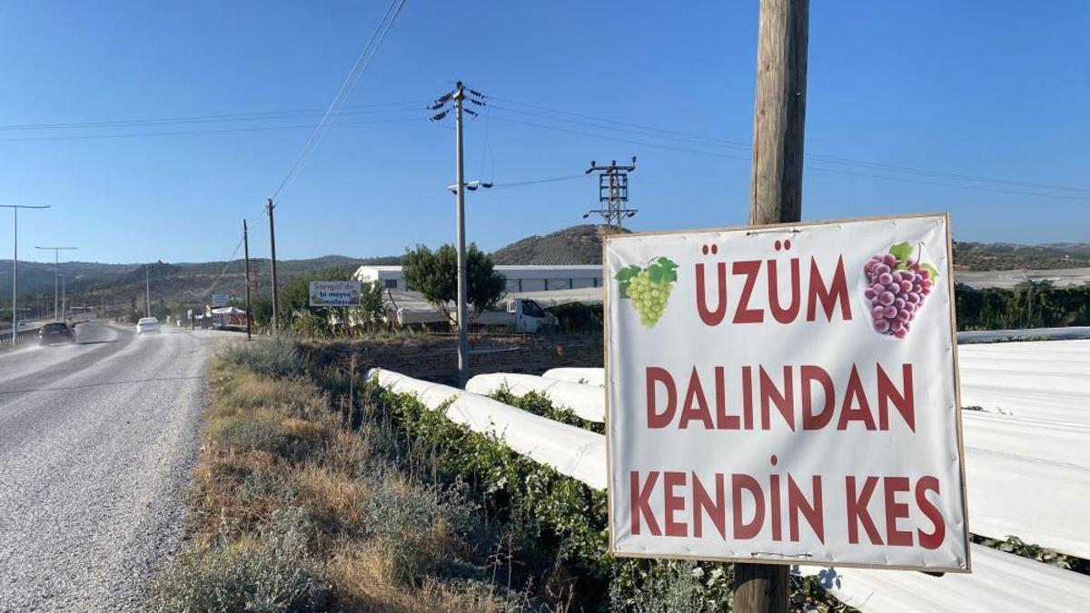 Kabak, üzüm, şeftali, incir... Çiftçi bu yöntemiyle tarlayı pazara çevirdi
