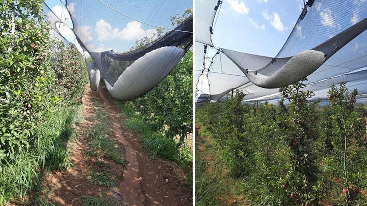 Isparta’da üreticileri yıkan dolu yağışı! Bir gecede ortaya çıkan zarar 170 Milyon TL