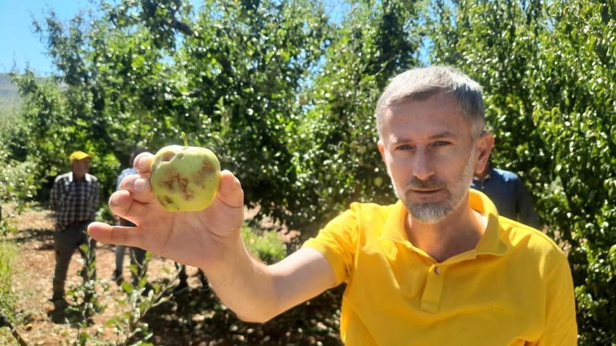 Konya'da dolu etkili oldu, bahçeler büyük zarar gördü