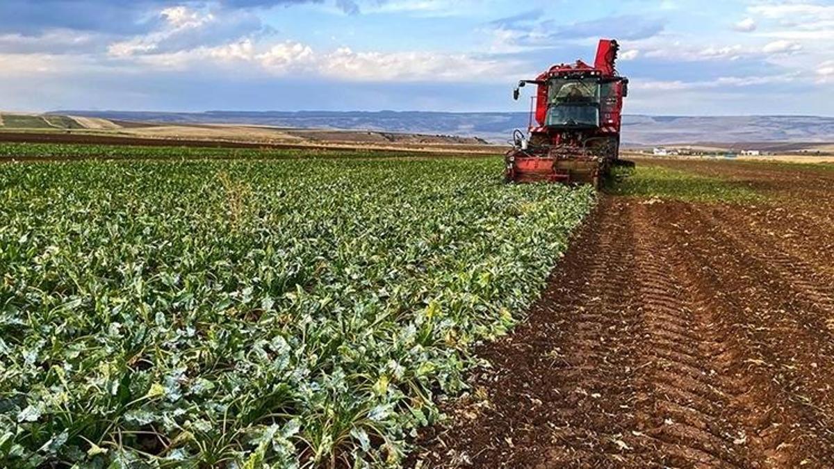 Çiftçilere müjde! Destek ödemeleri bugün hesaplara yatacak