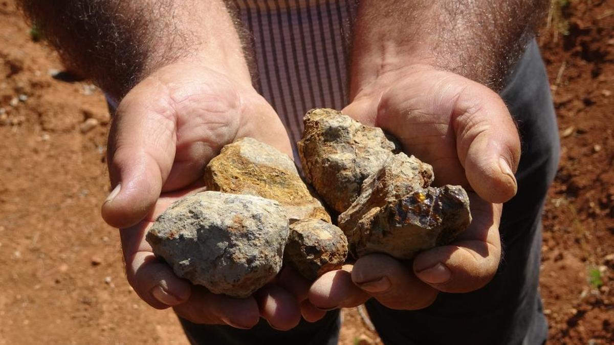 Yıllarca 'çıra' sandılar, meğer çok değerliymiş! Topraktan çıkan gizli hazine: Gramı altınla yarışıyor!