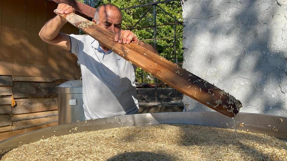 On iki bin yıldır üretiliyor! Hasadı tamamlandı, çiftçiler işlemeye başladı