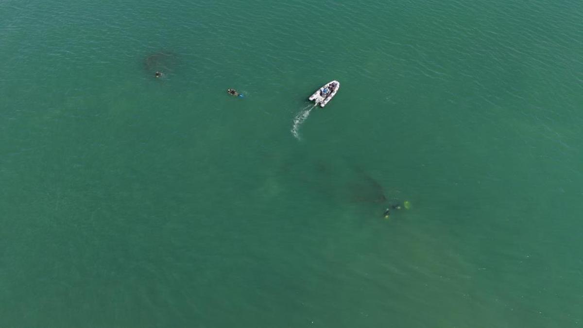 92 yıl önce batan gemi Ordu'da bulundu: Dalgıçlar ilk kez keşfetti