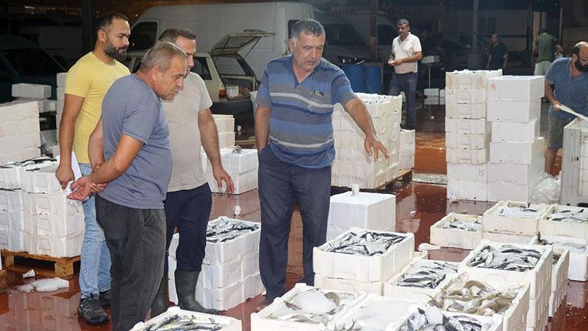 Av yasağı kalktı, tezgahlar bereketli! 1 kilo fiya…