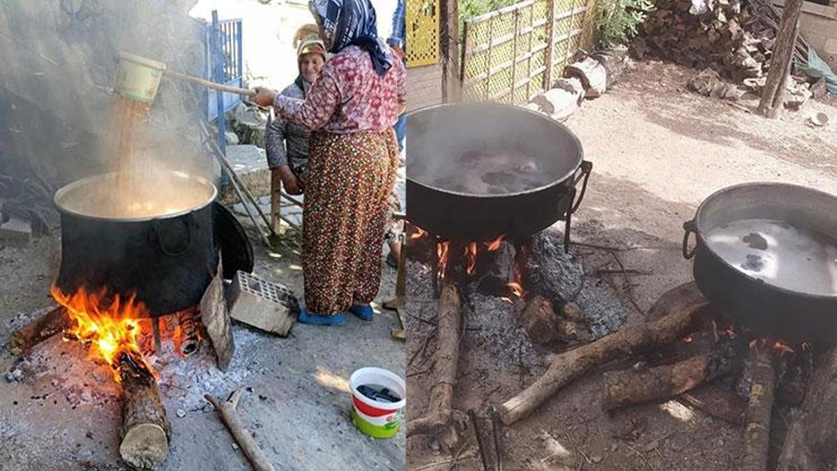 İncir sezonu tamamlandı, üreticiler yeni gelir kapısı buldu! Zahmeti çok, getirisi yüksek