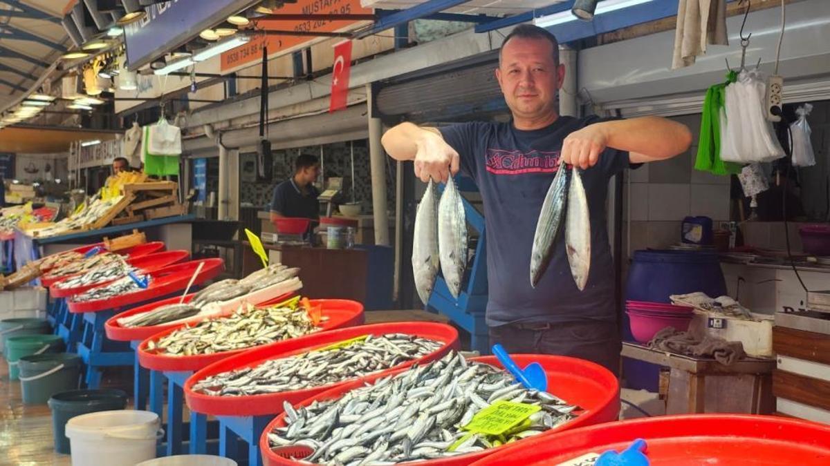 Marmara Denizi'nde balık bereketi sıcak havalara t…
