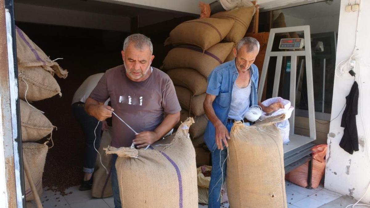 Türkiye'nin en önemli ürünlerinin başında geliyor! Fiyatı yüzde 50 arttı, 300 liraya ulaştı