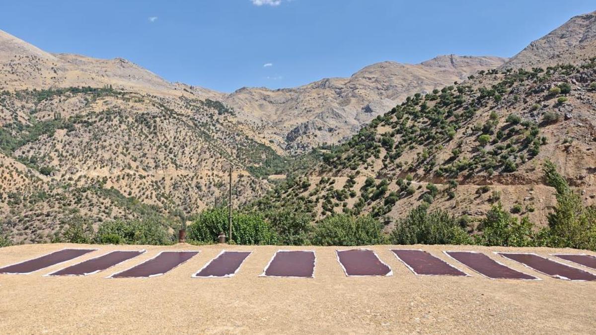 3000 rakımda üretiliyor! Lezzetine doyum olmuyor