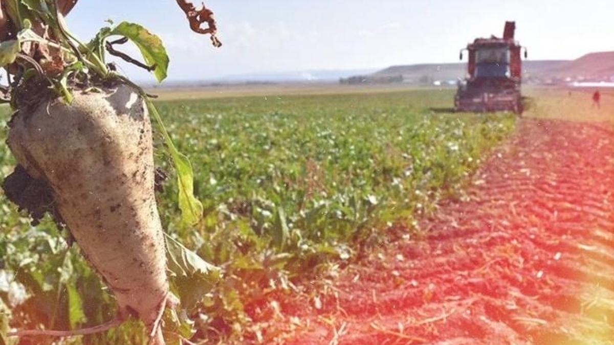 Konya’da geri sayım başladı! 7 ilçe başı çekiyor: Beklenti 3500 lira!