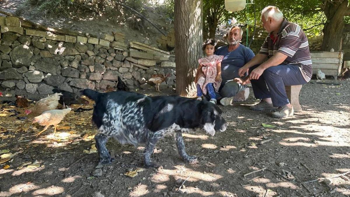 Elazığ iki aydır gizemli bir tehlikeyle karşı karşıya! Mahallelinin gözüne uyku girmiyor: Sırayla nöbet tutmaya başladılar