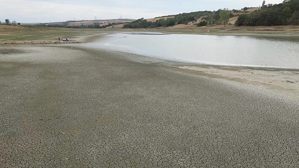 Tekirdağ'da Bıyıkali Göleti'nde korkunç manzara: Daha önce böylesi olmamıştı!