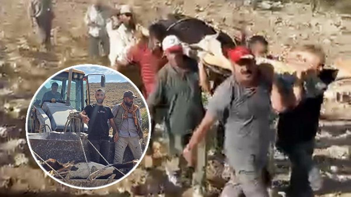 Mardin'de ayağı kırılan inek 5 gün boyunca mahsur kaldığı yerden kurtarıldı! Köylüler 2 kilometre taşıdı