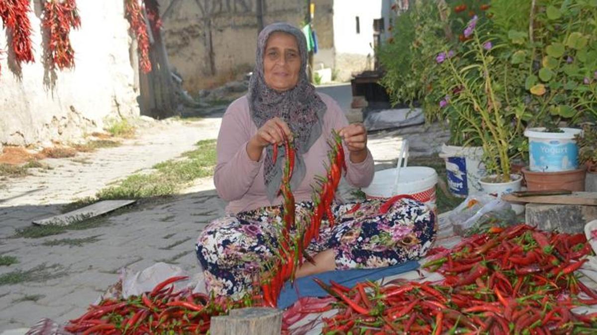 Yunanistan'dan getirdiler, Bilecik'in 'kırmızı altın'ı oldu! Balkonlardan taştı, 81 ile kapış kapış gidiyor
