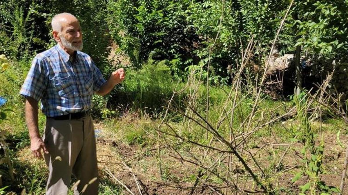 Erzincan'da köye musallat oldular! Korkudan evden çıkamıyorlar: Can güvenliğimiz yok