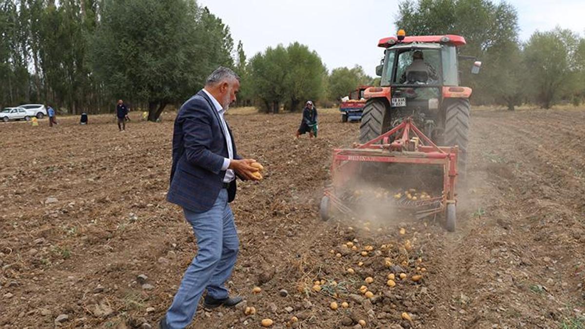 Çankırı'da hasat başladı! Deneme amaçlı ektiler, ilk ürünlerini aldılar!