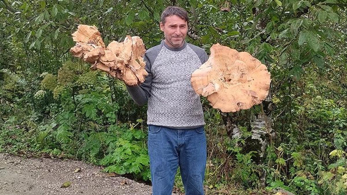 Ailece ormanda gezerken buldular! Her biri 3 kilo: Görenler şaşkına döndü