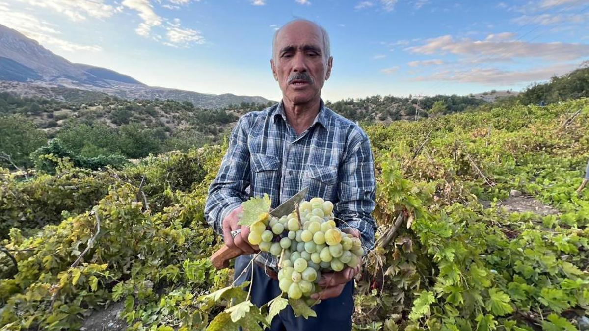 Bağ bozumu sonrası pekmez telaşı! Eski yöntemlerle…