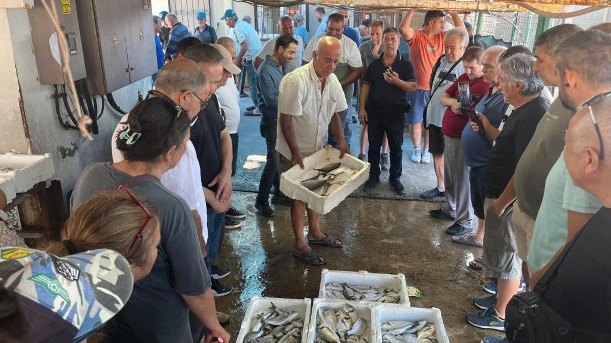 Gece avlanan balıklar, sabah mezatta alıcıyla buluşuyor! Fiyatı 200 liradan satılıyor