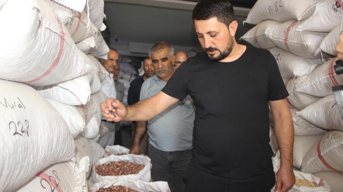 Düşük rekolte, fiyatları iki katına çıkardı! Geçen yıl 300 lira olan ürün bu sene 600 lira oldu