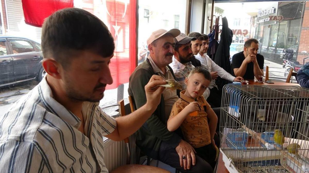 Kanaryalar satışa çıktı! Fiyatları 300 TL ile 1000 TL arasında değişiyor