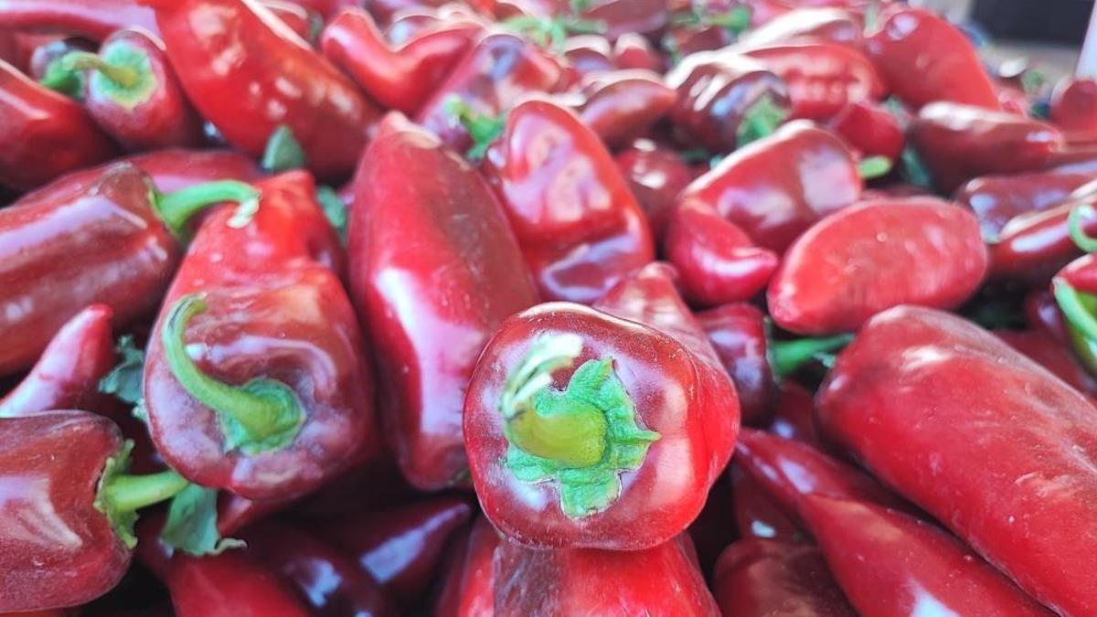 Pazar tezgahları doldu! Salçalık biber hareketliliği