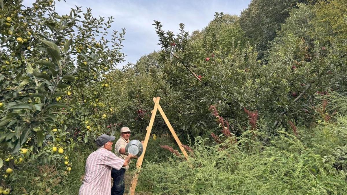 Meyve tabaklarının vazgeçilmezi geçen yıl 12,5 liraya satılıyordu! Bu yıl 50 liradan gidiyor