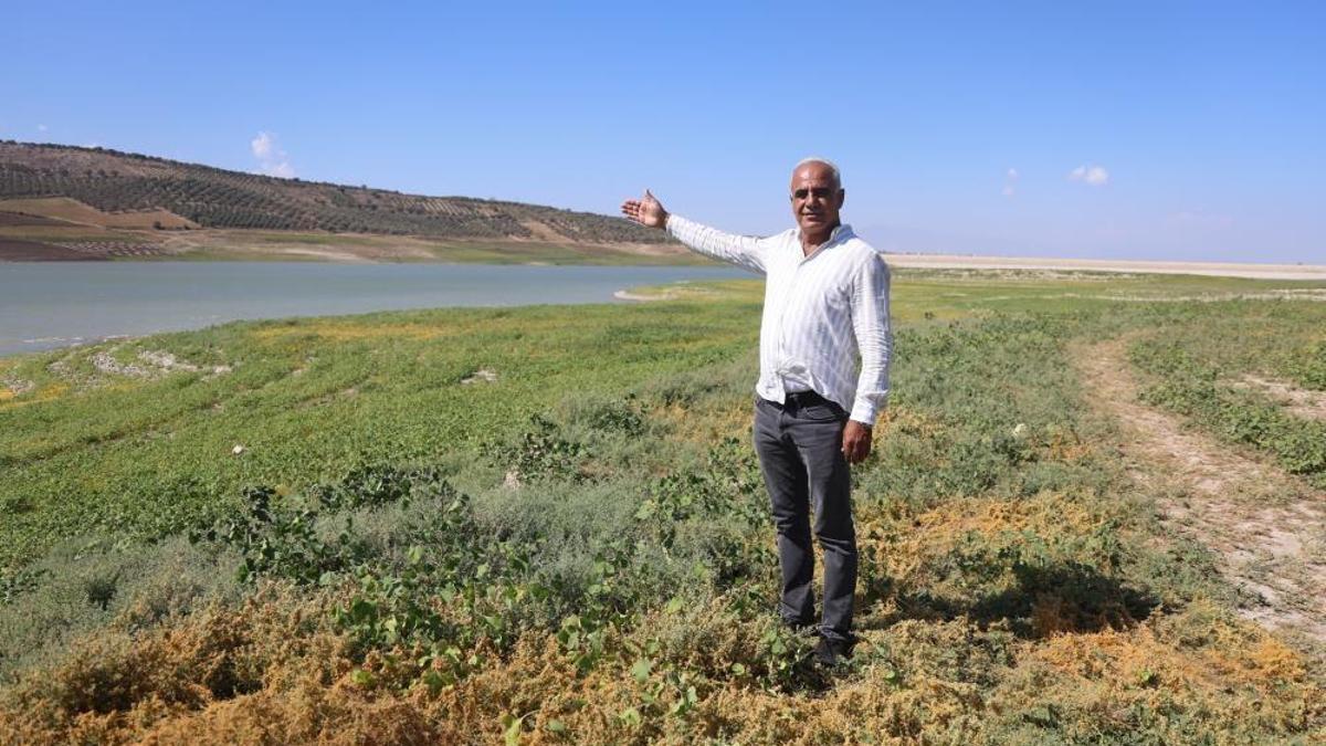 Hatay için son 65 yılın en kötüsü: Yüzde 5'in altına düştü