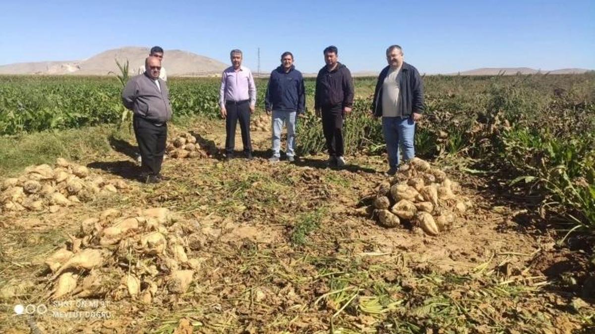 Konya’nın bu ilçesinde beklenen gün geldi! Ürünler tek tek toplanıyor