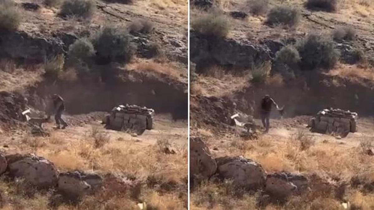 Sivas'ta o görüntüler sonrası harekete geçildi: 4 aylık köpeğe şiddet uygulayan zanlı gözaltında!