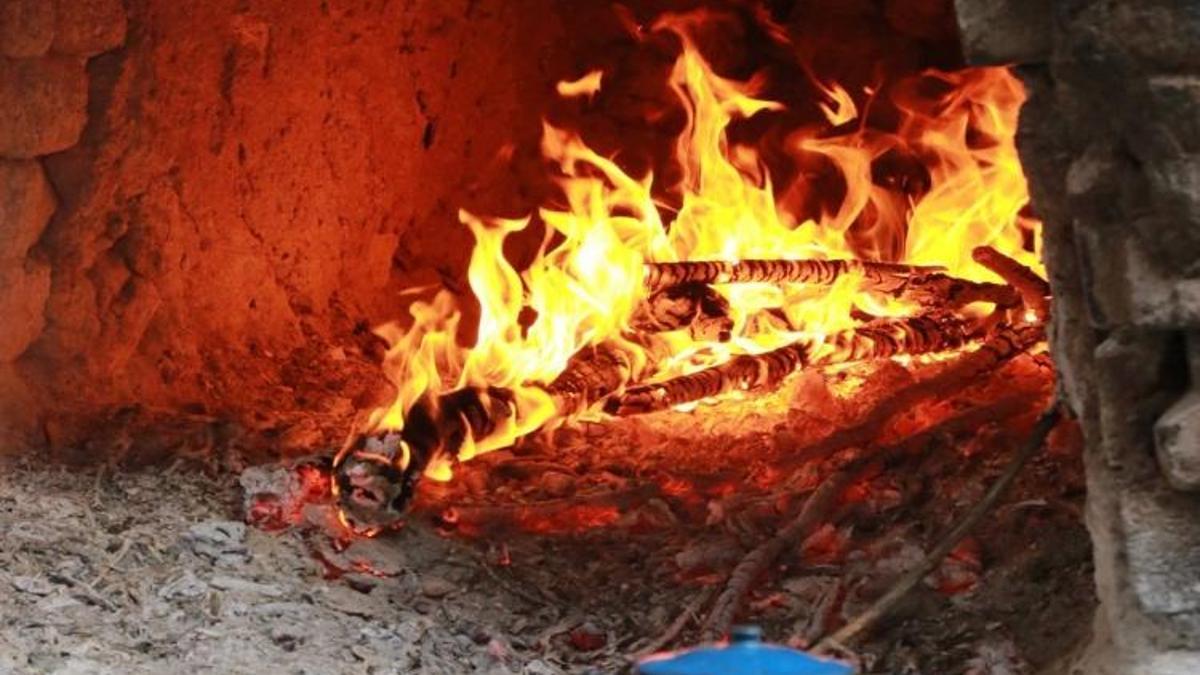 Çanakkale'de makinalı hasat başladı: 8 çeşit üreticinin yüzünü güldürdü