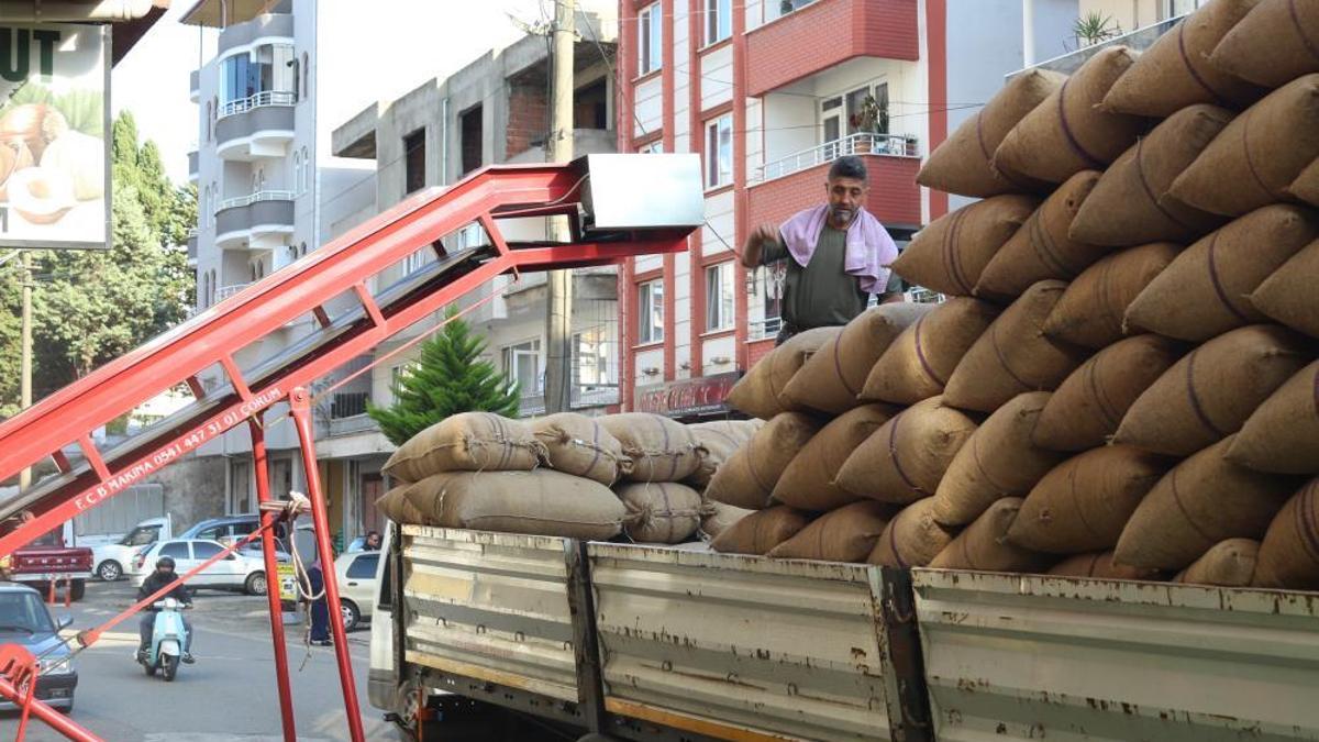 Türkiye üretimde dünyada birinci! Bu yıl fiyatı rekor kıracak