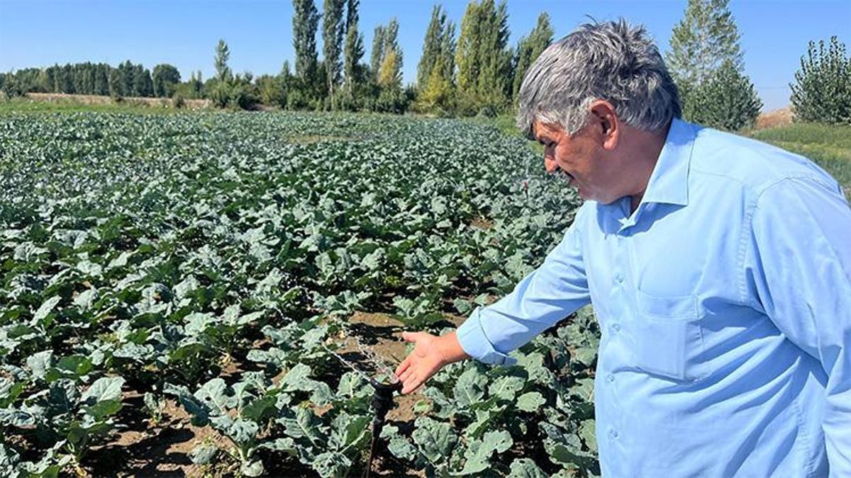 Eskişehir'de su seviyesi 15 metreye düştü! Tezgahlarda fiyatlar 5 katına çıktı