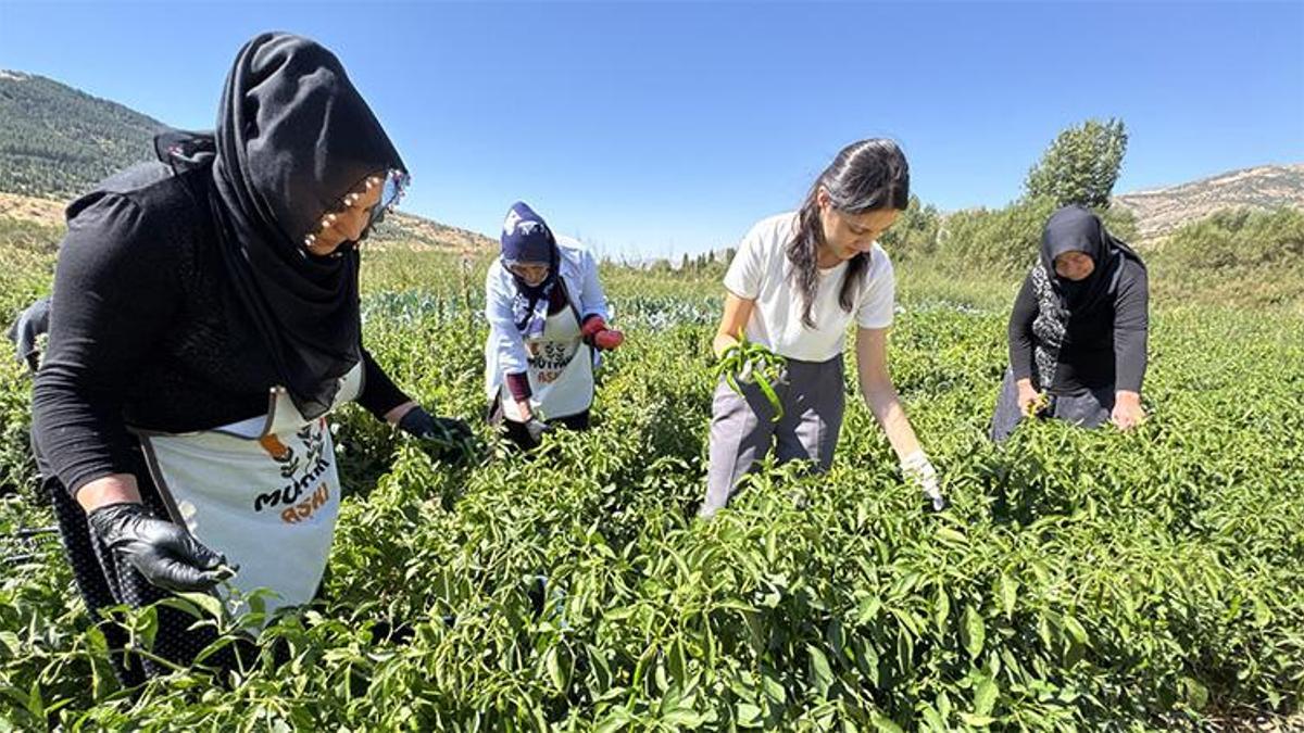 Elazığlı kadınlar devlet desteğiyle üretime başlad…
