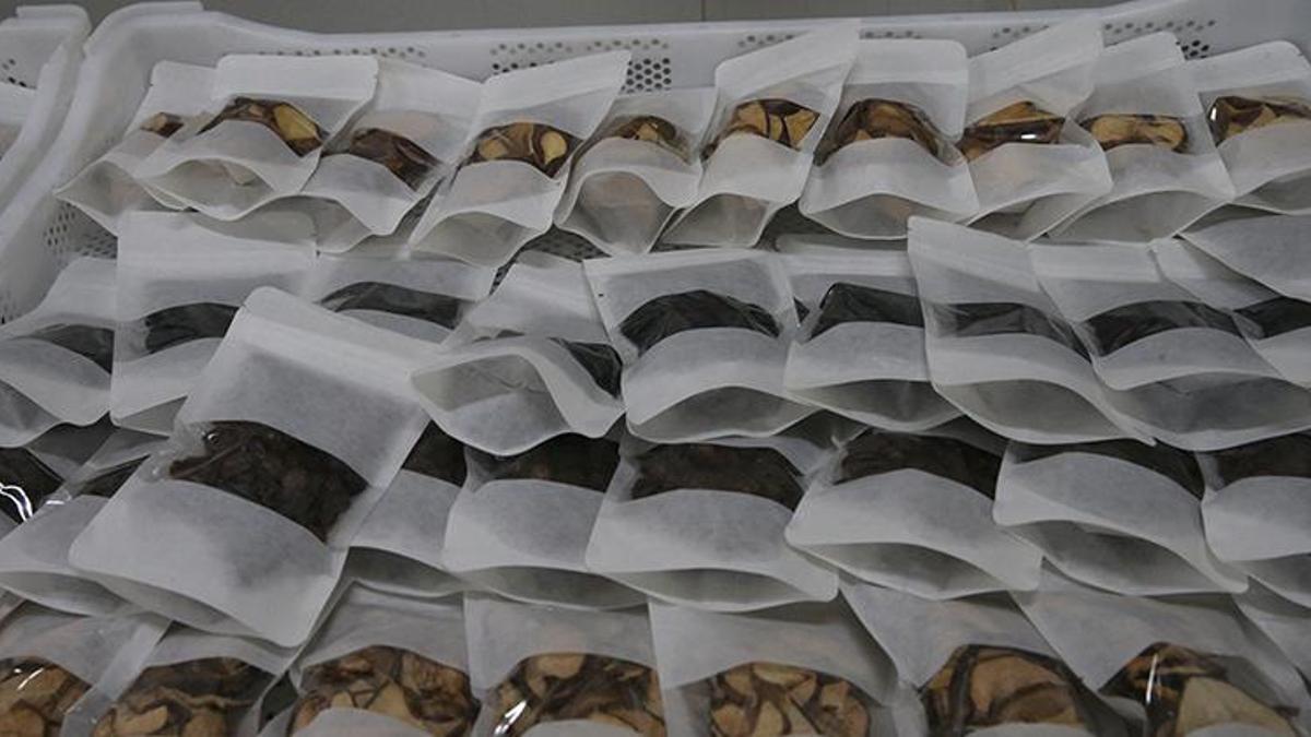 Tokat'ta devreye alındı! Hiçbir maliyeti yok, günlük 1 ton üretecekler