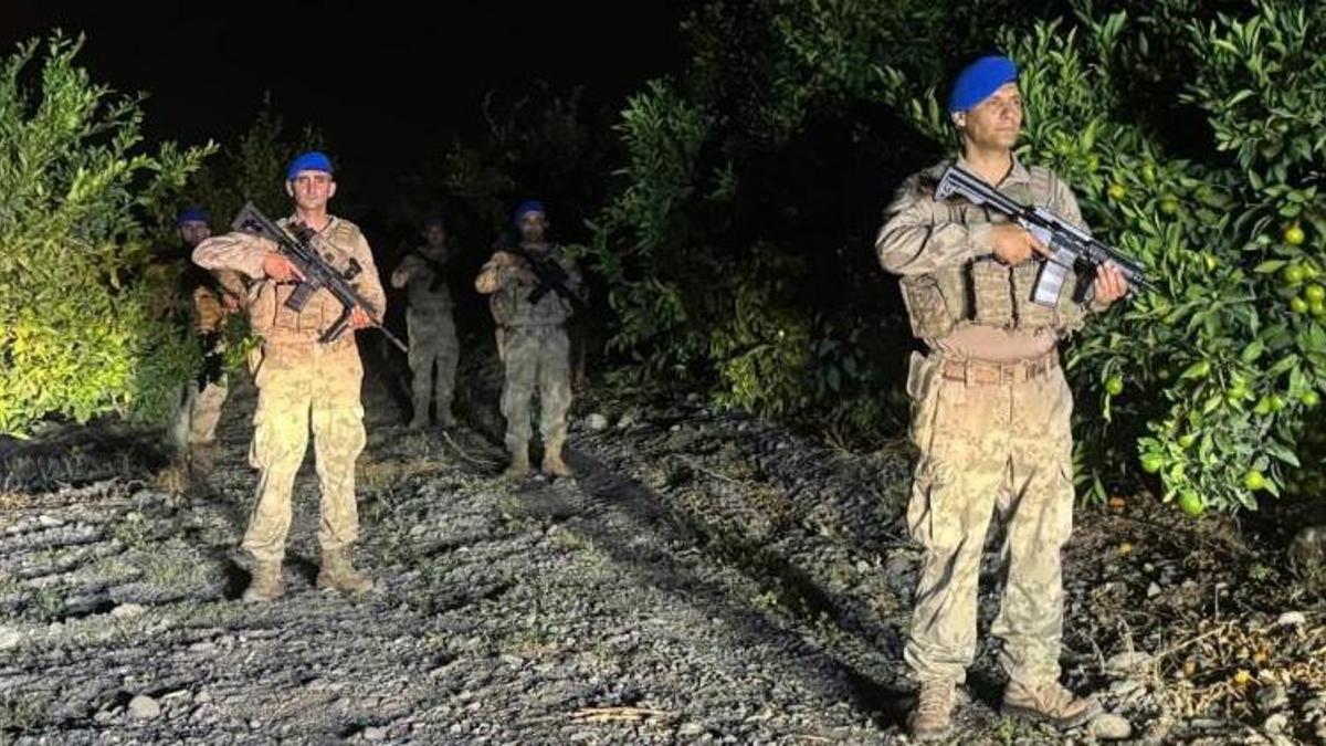 Hatay'da hasat başladı! Kuş uçurtulmuyor