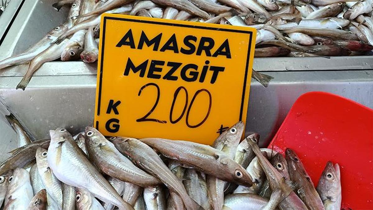 Balıkçılar 'kestane karası'nı bekliyor! Talep var ama tezgahlar boş kaldı