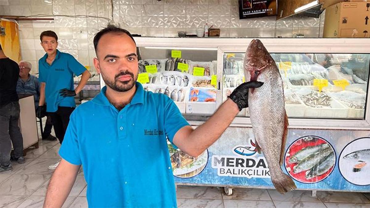 Denizi yok ama 54 ülkeye balık ihracatı yapılıyor! Tonlarca satış yapılıyor
