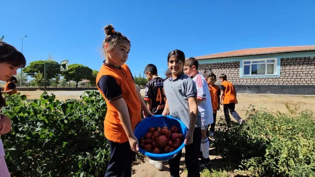 Kayseri'de ilkokul öğrencileri kendi meyve ve sebzesini kendileri yetiştiriyor!