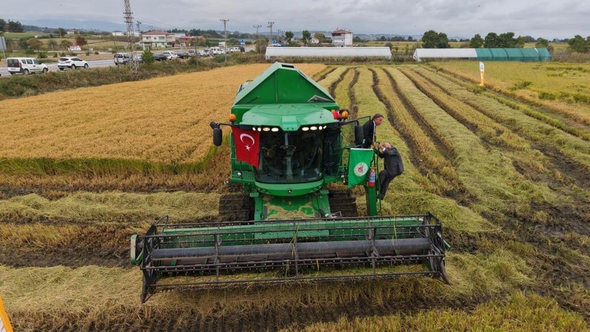 Türkiye'nin ihtiyacının 4'te 1'i bu bölgeden karşılanıyor! Kalitesiyle sofraların vazgeçilmezi