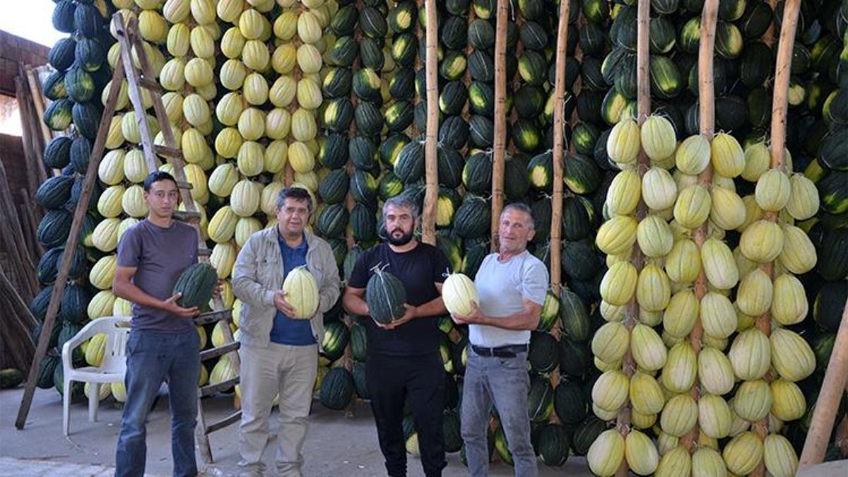 Askıda kavun dünya yolcusu! Avrupa tarafından tescillendi, kışın sofralarda yerini alacak