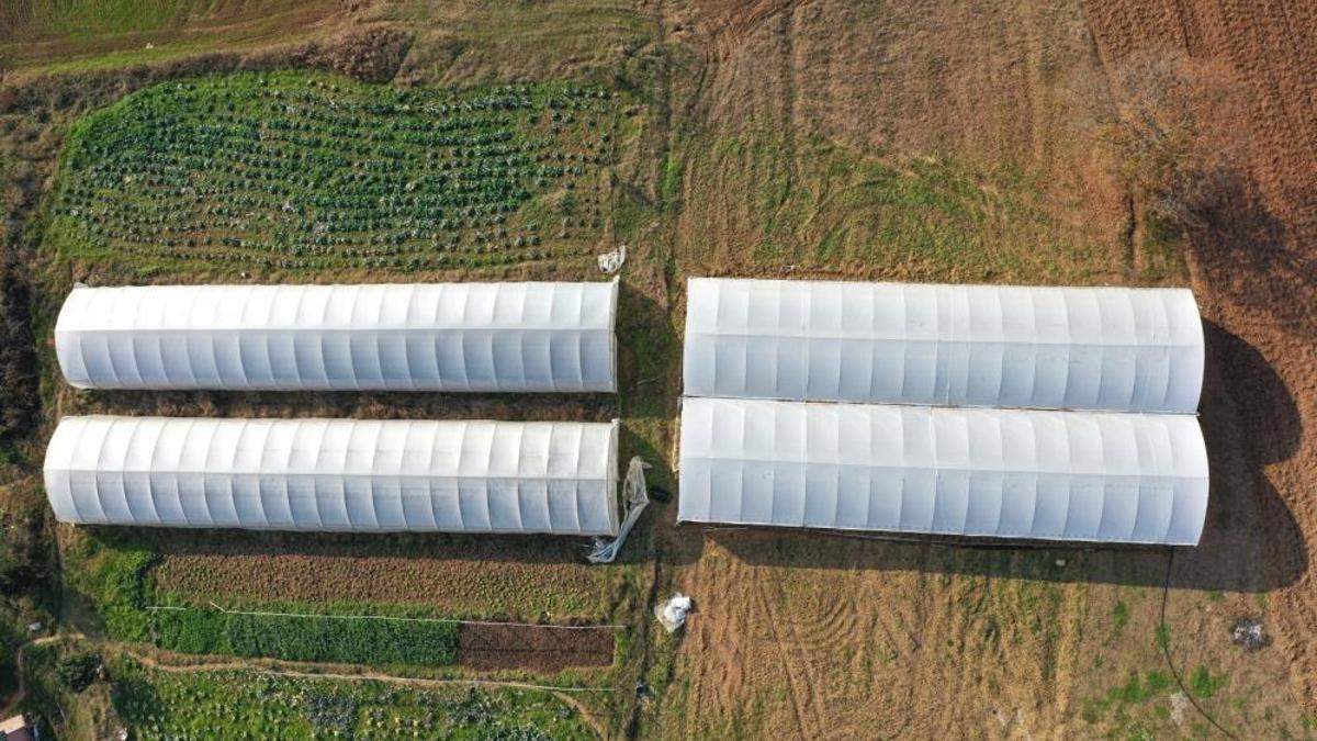 Kocaeli'de çiftçilere müjde: Yüzde 50 hibe verildi