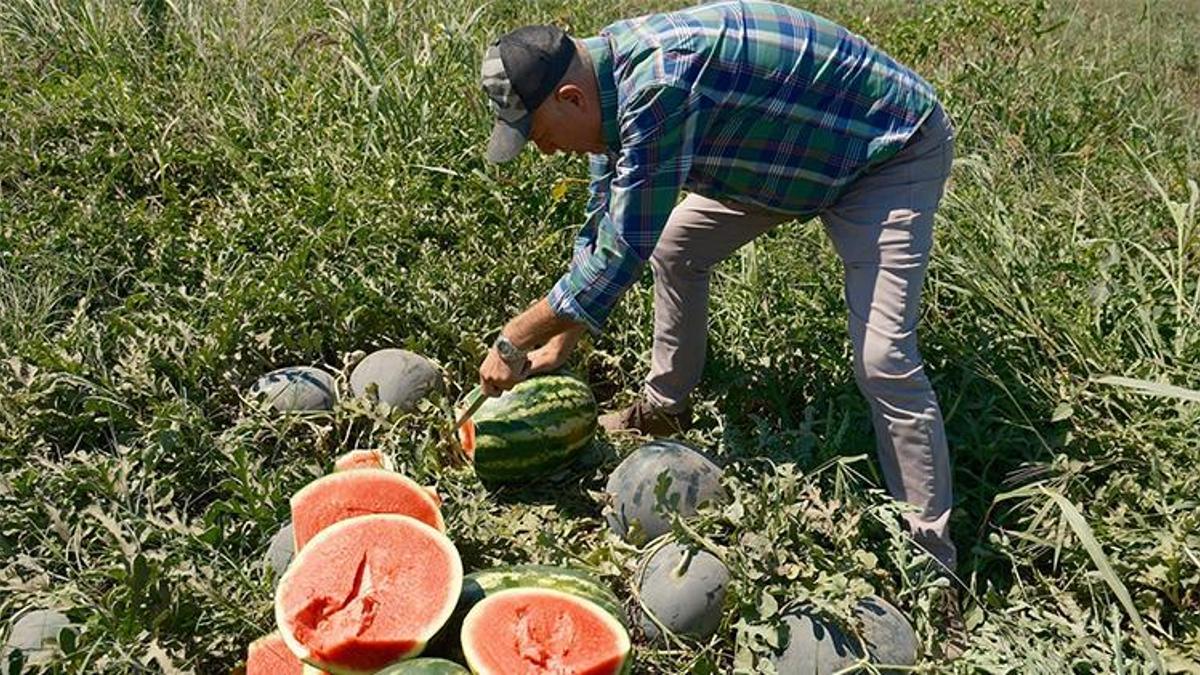 30 tır karpuz satan çiftçi ancak bir tane Iphone 17 alabiliyor