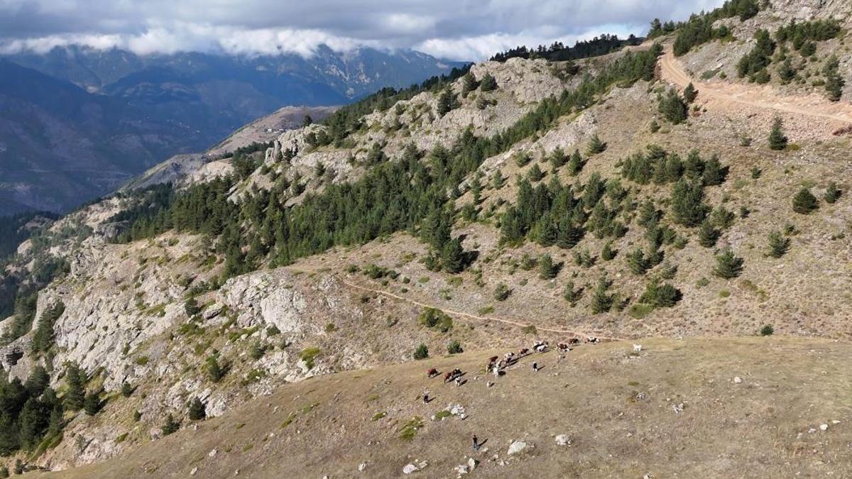 Gümüşhaneli genç tarih yazdı: Önce girişimci oldu, sonra muhtar!