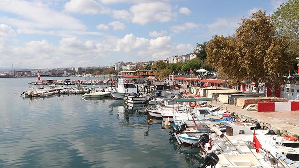 Marmara'da istavrit bereketi: Tezgâhlar doldu, Tekirdağlı balıkçıların yüzü gülüyor